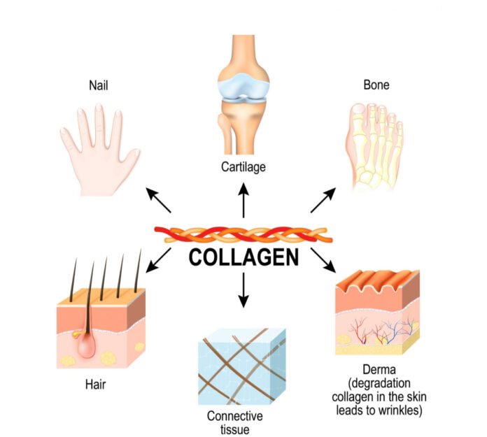 “The 5 Types of Collagen You Need to Know—And What They’re Doing to Your Body”